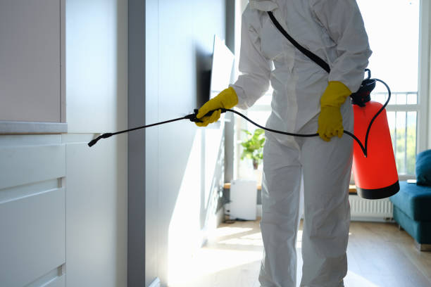 Best Residential Mold Removal  in Federal Heights, CO